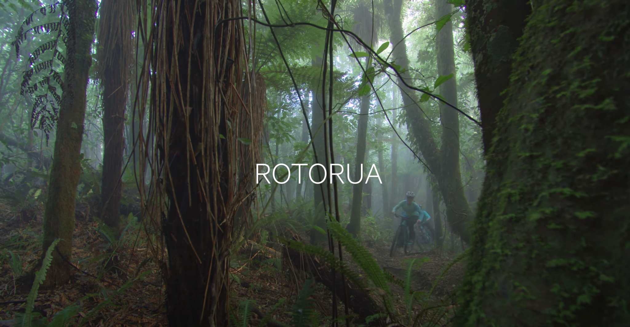 We have now moved to Rotorua
