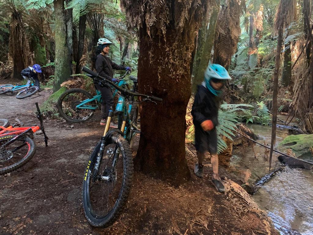10 weeks in Rotorua