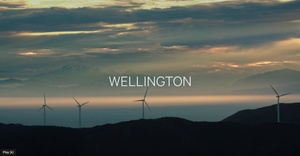 Wellington's Hot Spots