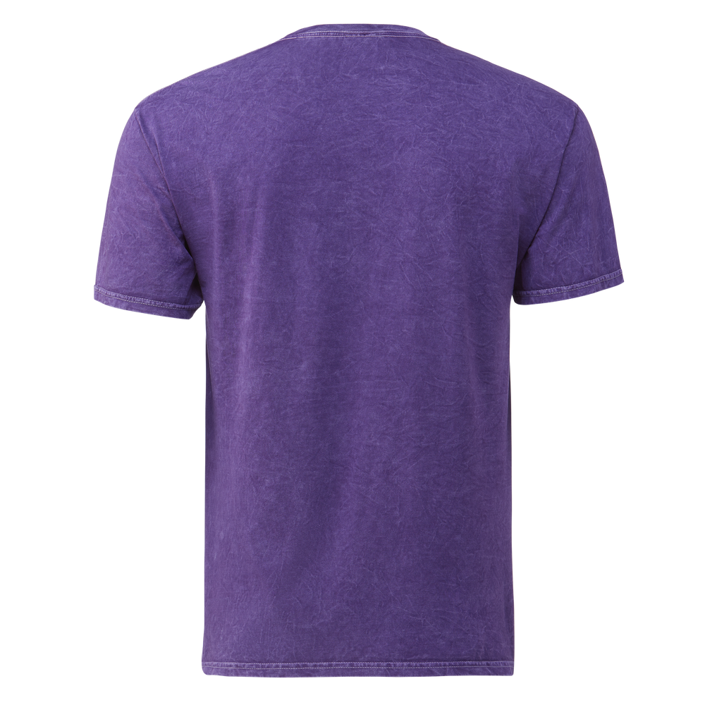 Vintage Block Tee Mineral Purple