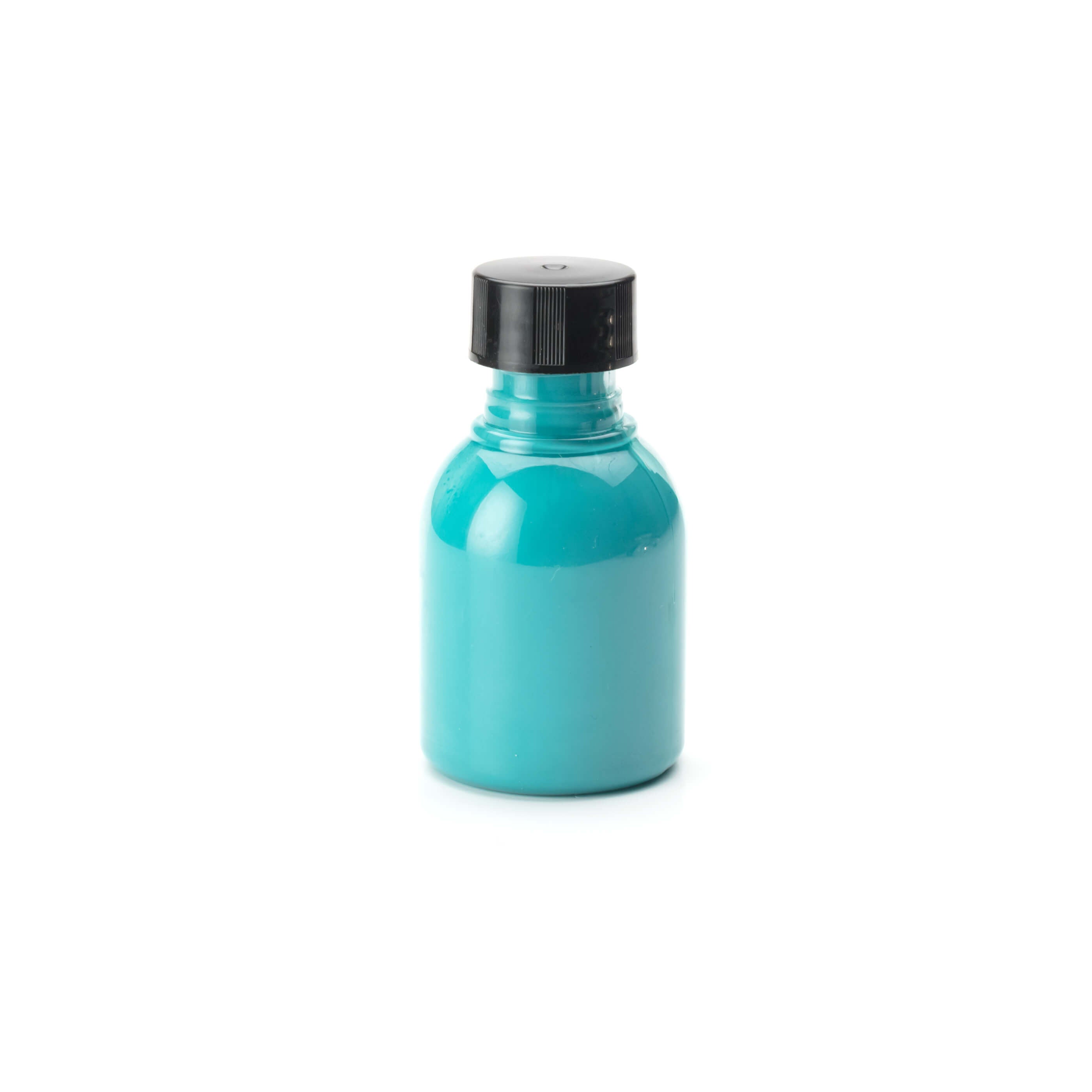 Turq Touch Up Paint Bottle 1 OZ